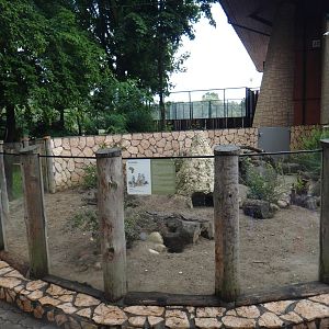 Meerkat enclosure