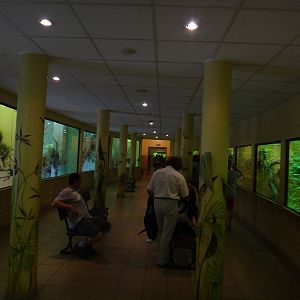 House for birds and reptiles