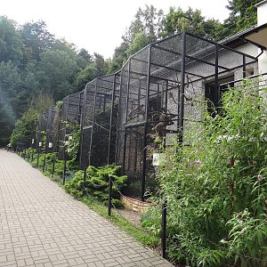 House for birds and reptiles