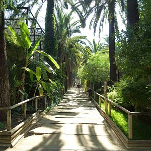 Carnivore walk, July 2013.