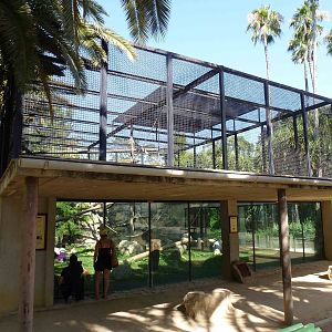 Chimpanzee enclosure, July 2013.