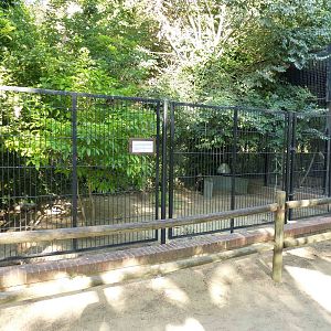 Cassowary enclosure, July 2013.