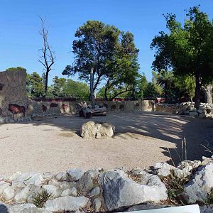 Bison enclosure, July 2013.