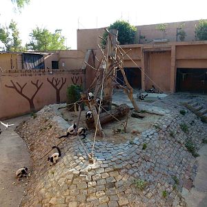 Ruffed lemur enclosure, July 2013.