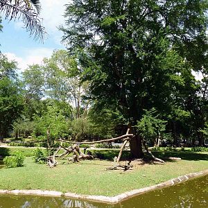 Gibbon island, June 2013.