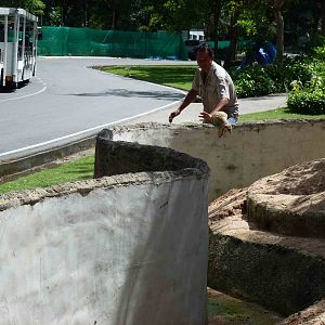 The Great Escape, June 2013.