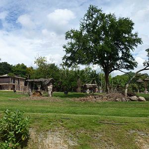 African savannah, June 2013.