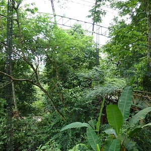 Inside the aviary, June 2013.
