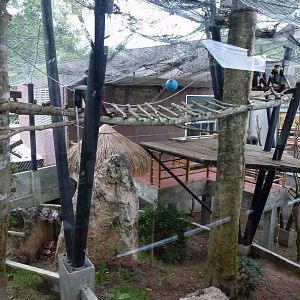 Douc langur enclosure, June 2013.