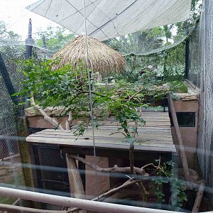 Raccoon enclosure, June 2013.