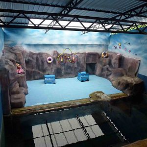 Fur seal enclosure, June 2013.