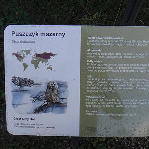 Great Grey Owl Sign