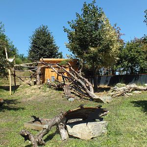 Exhibit for red pandas and Reeve's muntjak