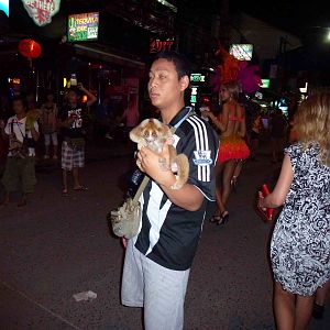 Loris photo props in Phuket, June 2013.