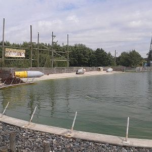 Harbor seal-enclosure
