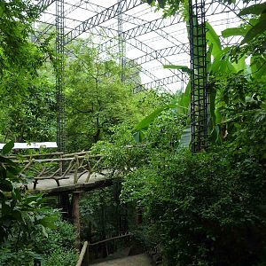 Inside the aviary, June 2013.