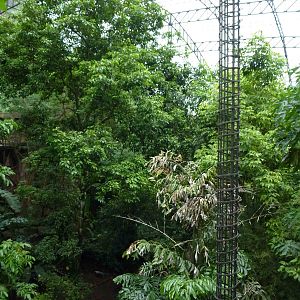 Inside the aviary, June 2013.