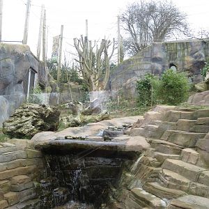 leopard enclosure 020313