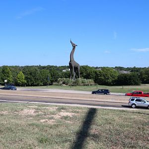 giraffe statue