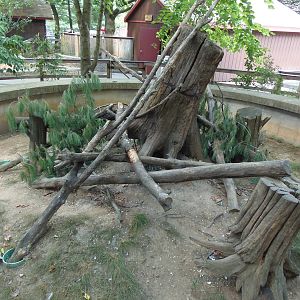 New England Farmyard- North American Porcupine Exhibit
