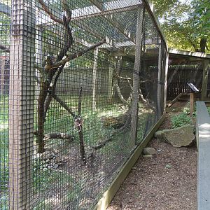 New England Farmyard- Northern Raven Exhibit