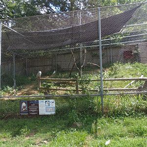New England Farmyard- Snowy Owl Exhibit