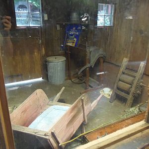 New England Farmyard- Domestic Cat Exhibit