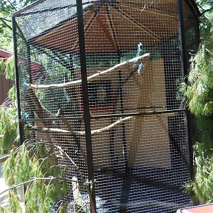 New England Farmyard- Great Horned Owl Exhibit