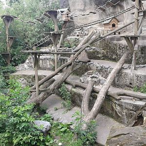 Coati and Raccoon enclosure