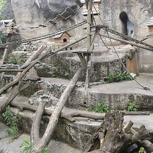 Coati and Raccoon enclosure