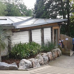 Common marmoset enclosure