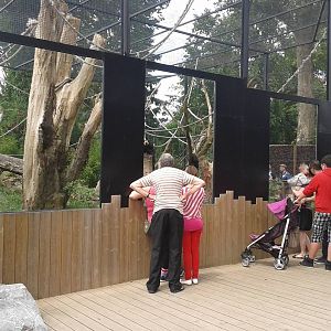 Enclosure Sakis and Macaws