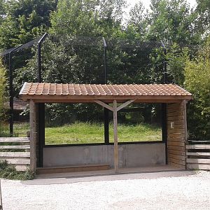 Indian lion viewing-point