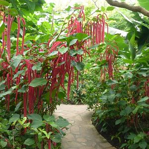 Butterfly Pavilion 23.6.13
