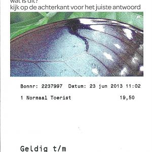 Artis Royal Zoo Ticket 23.6.13