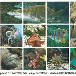 L'Aquàrium Barcelona Ticket 24.5.12