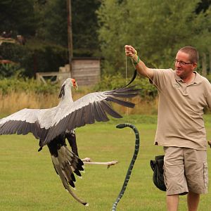 Secretary borAugust 2013
