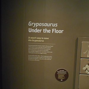 Gryposaurus interpretive sign