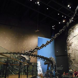 Dinosaur hall