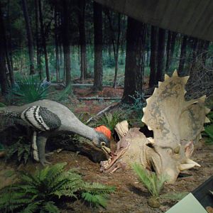 76 million year old marsh diorama