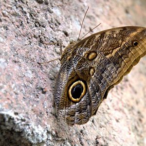 Randers Regnskov Tropical Zoo  - foto: M. Rawski & B. Kierończ