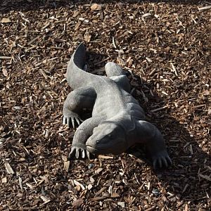 Randers Regnskov Tropical Zoo  - foto: M. Rawski & B. Kierończ