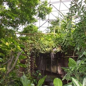 Randers Regnskov Tropical Zoo  - foto: M. Rawski & B. Kierończ