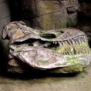 Randers Regnskov Tropical Zoo  - foto: M. Rawski & B. Kierończ