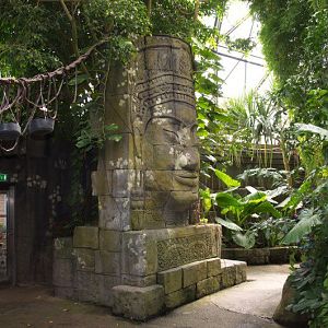 Randers Regnskov Tropical Zoo  - foto: M. Rawski & B. Kierończ