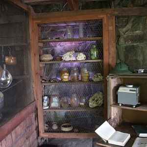 Randers Regnskov Tropical Zoo  - foto: M. Rawski & B. Kierończ