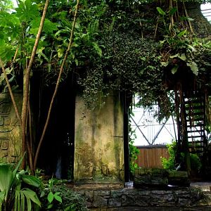 Randers Regnskov Tropical Zoo  - foto: M. Rawski & B. Kierończ