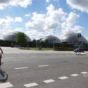 Randers Regnskov Tropical Zoo  - foto: M. Rawski & B. Kierończ