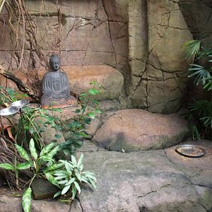 Randers Regnskov Tropical Zoo  - foto: M. Rawski & B. Kierończ