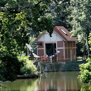 Pavilion of Saimiri sciureus